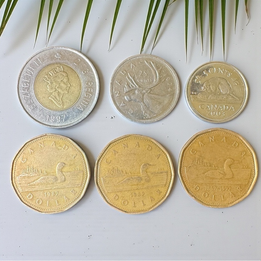 Canada Coin Lot (6) Vintage Canadian Dollars + Quarter + Nickel | 1987–2003